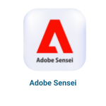 3-removebg-preview (3)